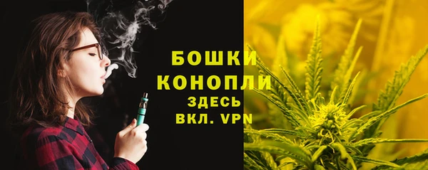 ГАЛЛЮЦИНОГЕННЫЕ ГРИБЫ Волосово