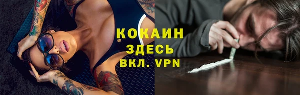 ГАЛЛЮЦИНОГЕННЫЕ ГРИБЫ Волосово
