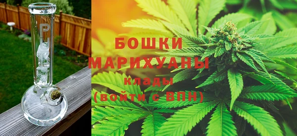 ГАЛЛЮЦИНОГЕННЫЕ ГРИБЫ Волосово